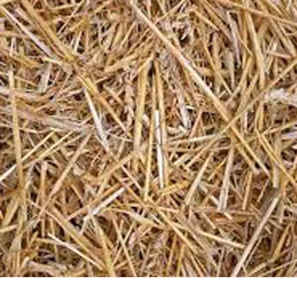 Wheat straw Adeem Feed Industries