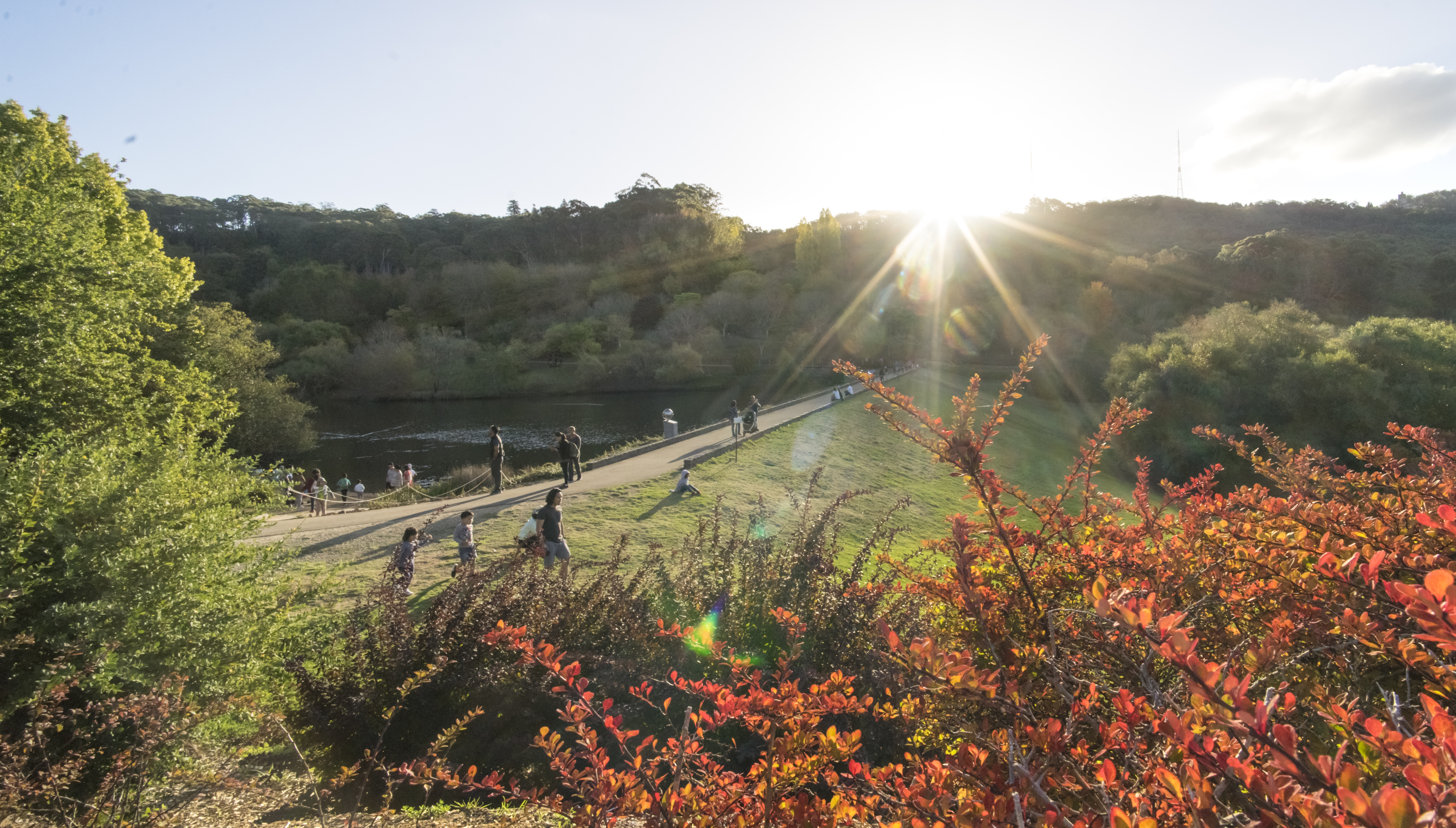 ADELAIDE IN AUGUST WHAT TO DO AND WHERE TO GO ADELADY