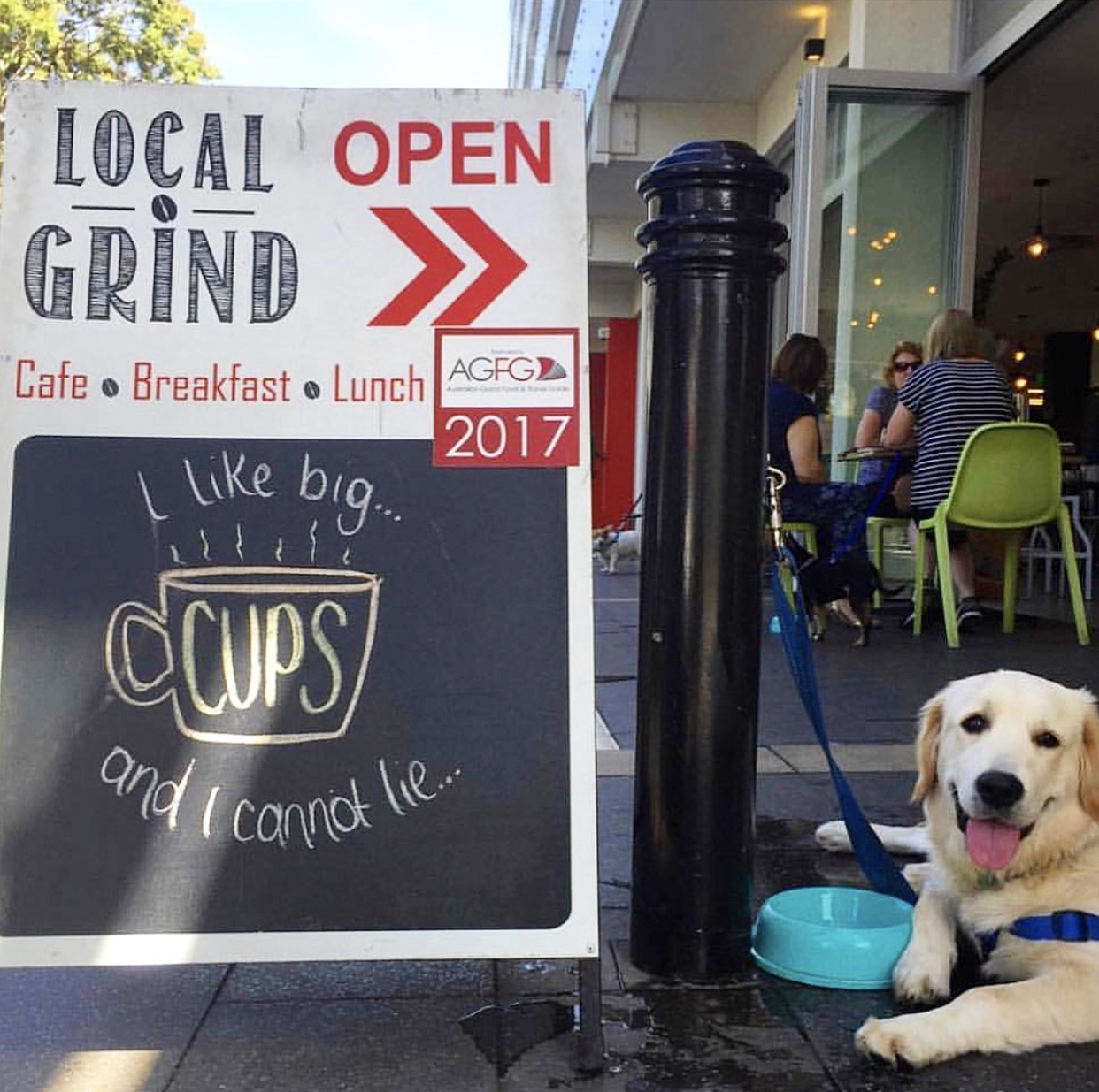 Top dogfriendly bars, breweries and cafes in Adelaide Adelady