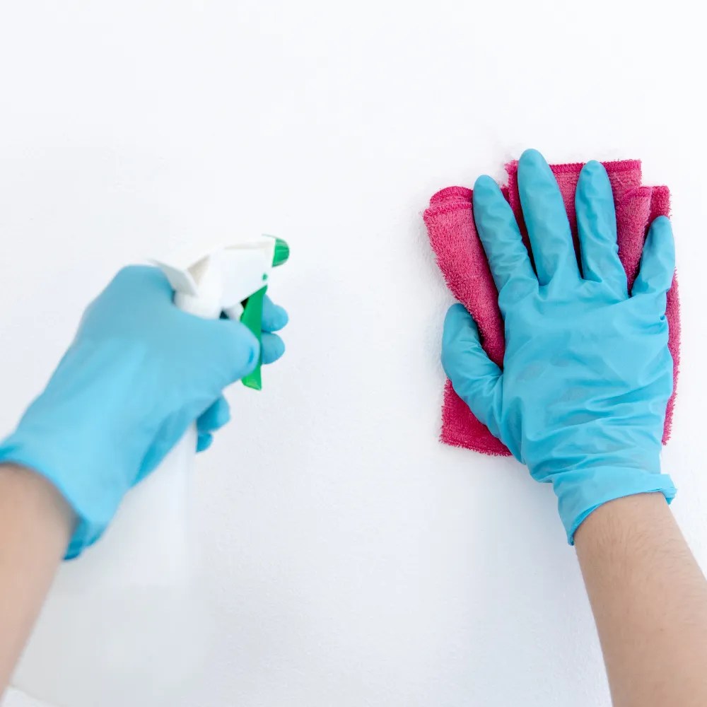 Cleaning Services Adelaide When Cleaning Meets Perfection