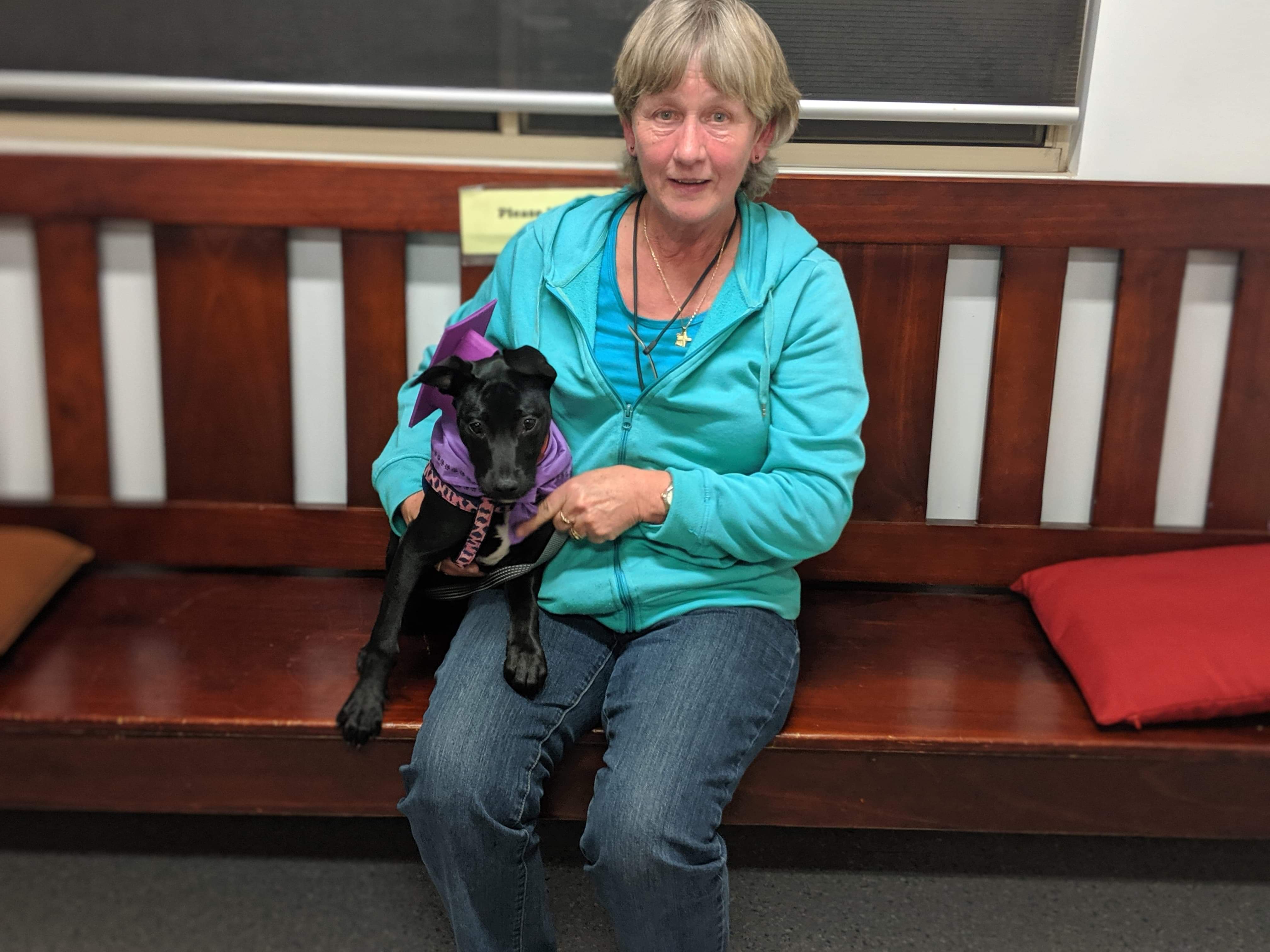 received_922243744795770 Adelaide Plains Veterinary Surgery