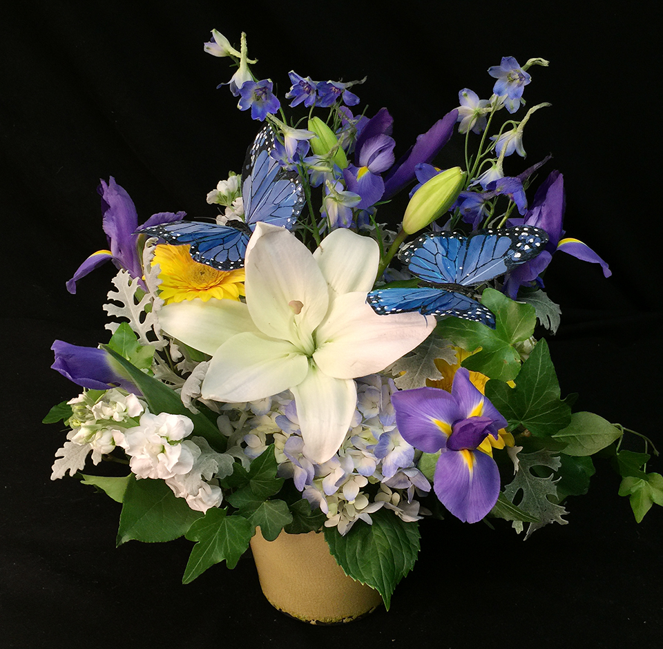 Flutter By Boy in La Jolla CA Adelaide's Florists and Decorators