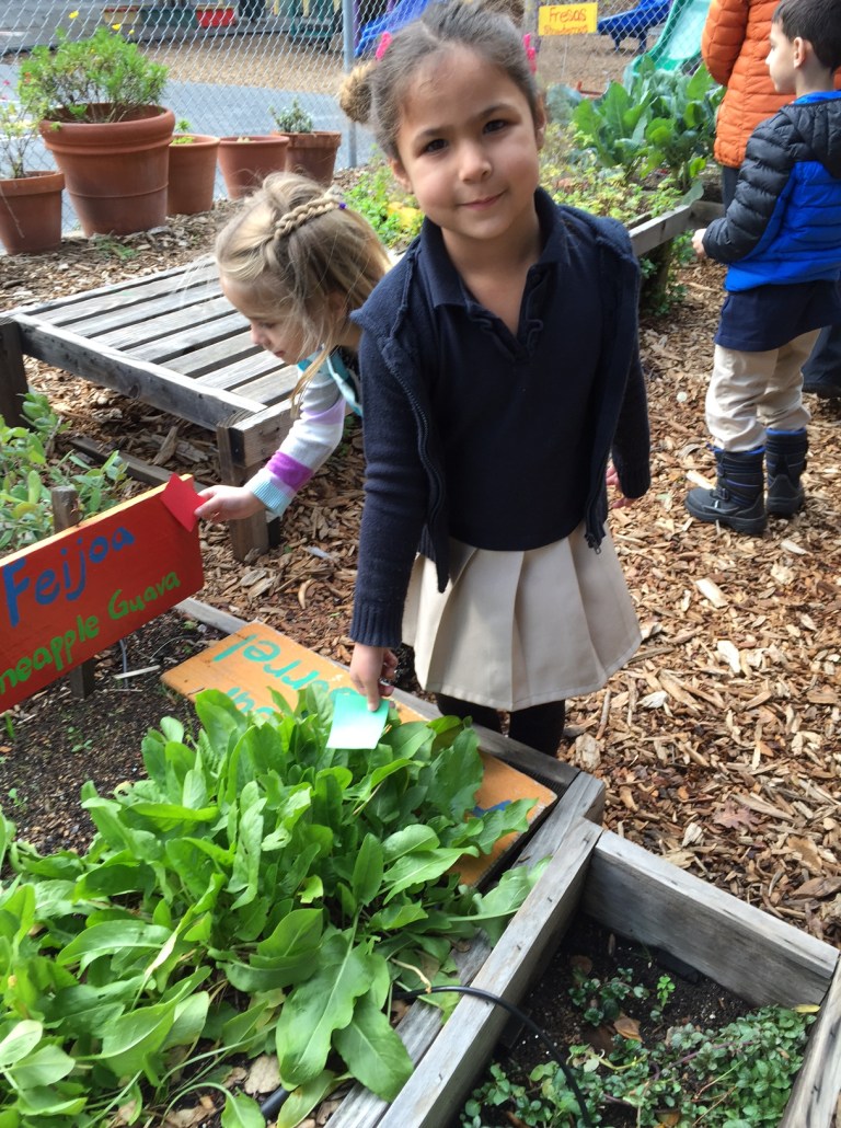 IMG_0953 Adelante Garden Program