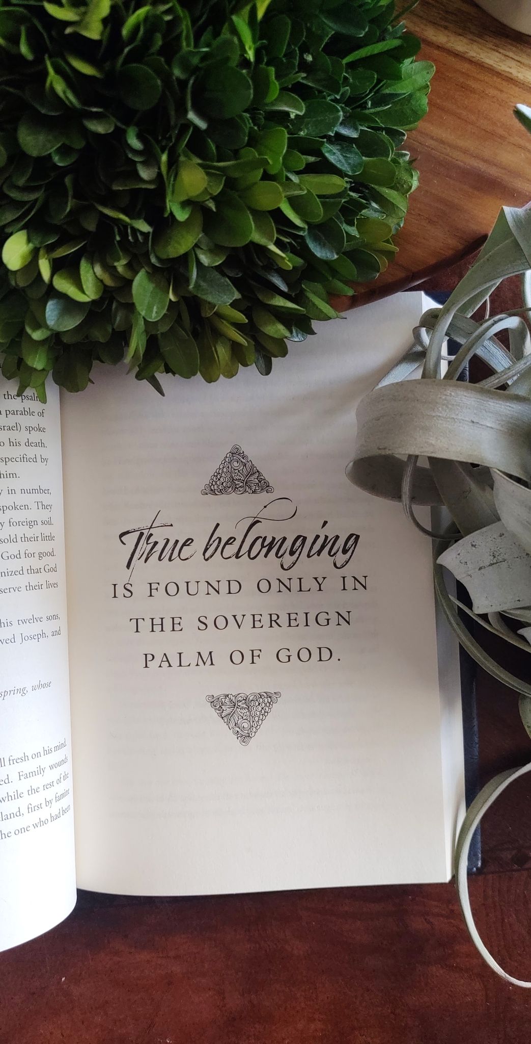 Read a Bit {Chasing Vines} A Delightful Glow