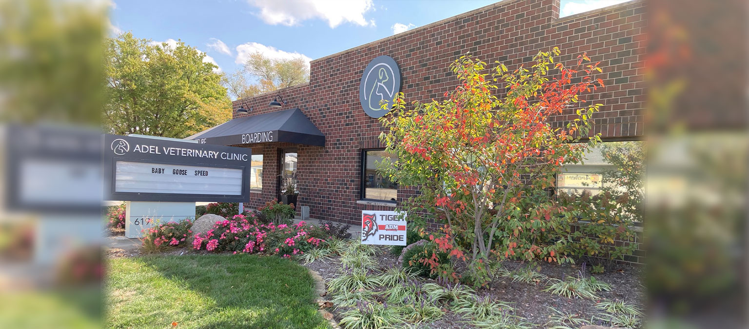 Veterinarian and Animal Hospital in Adel, IA Adel Veterinary Clinic