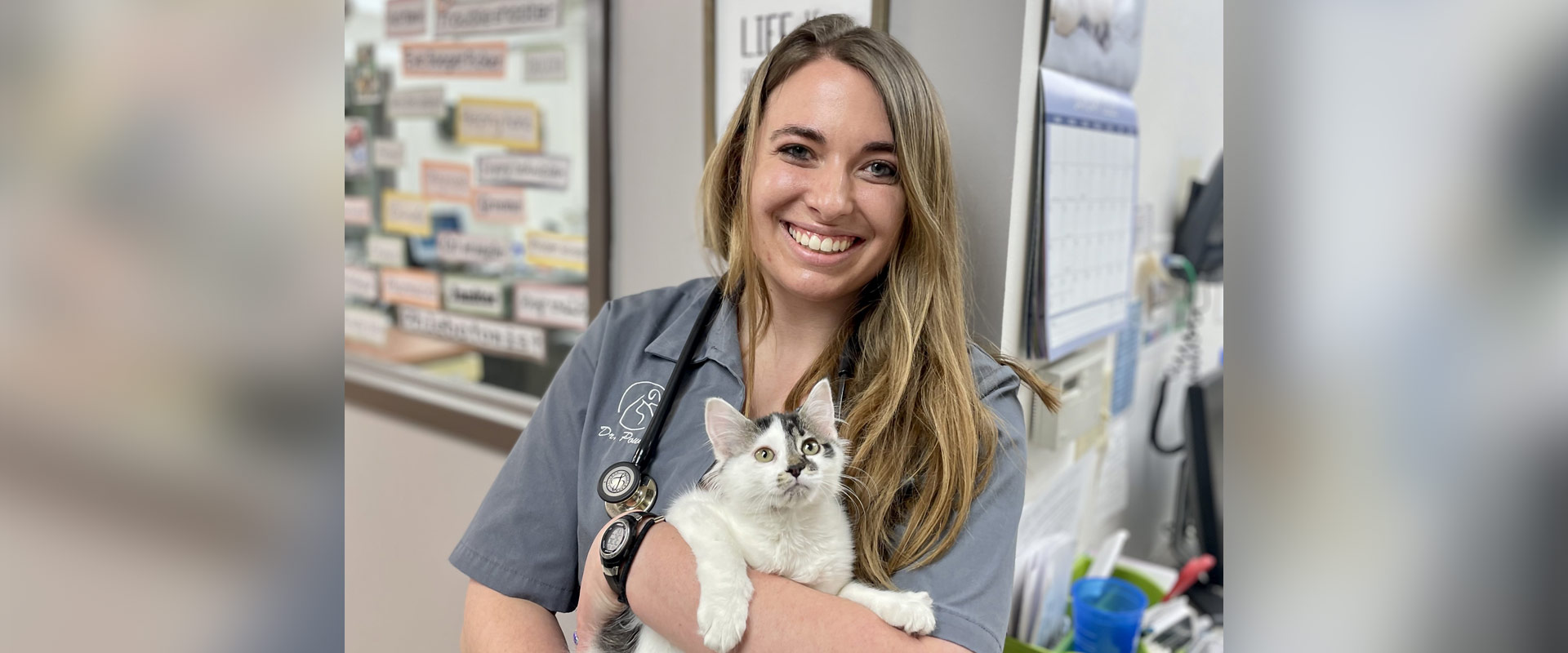 Veterinarian and Animal Hospital in Adel, IA Adel Veterinary Clinic
