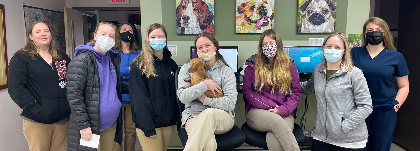 About Our Veterinary Clinic In Adel, IA Adel Veterinary Clinic