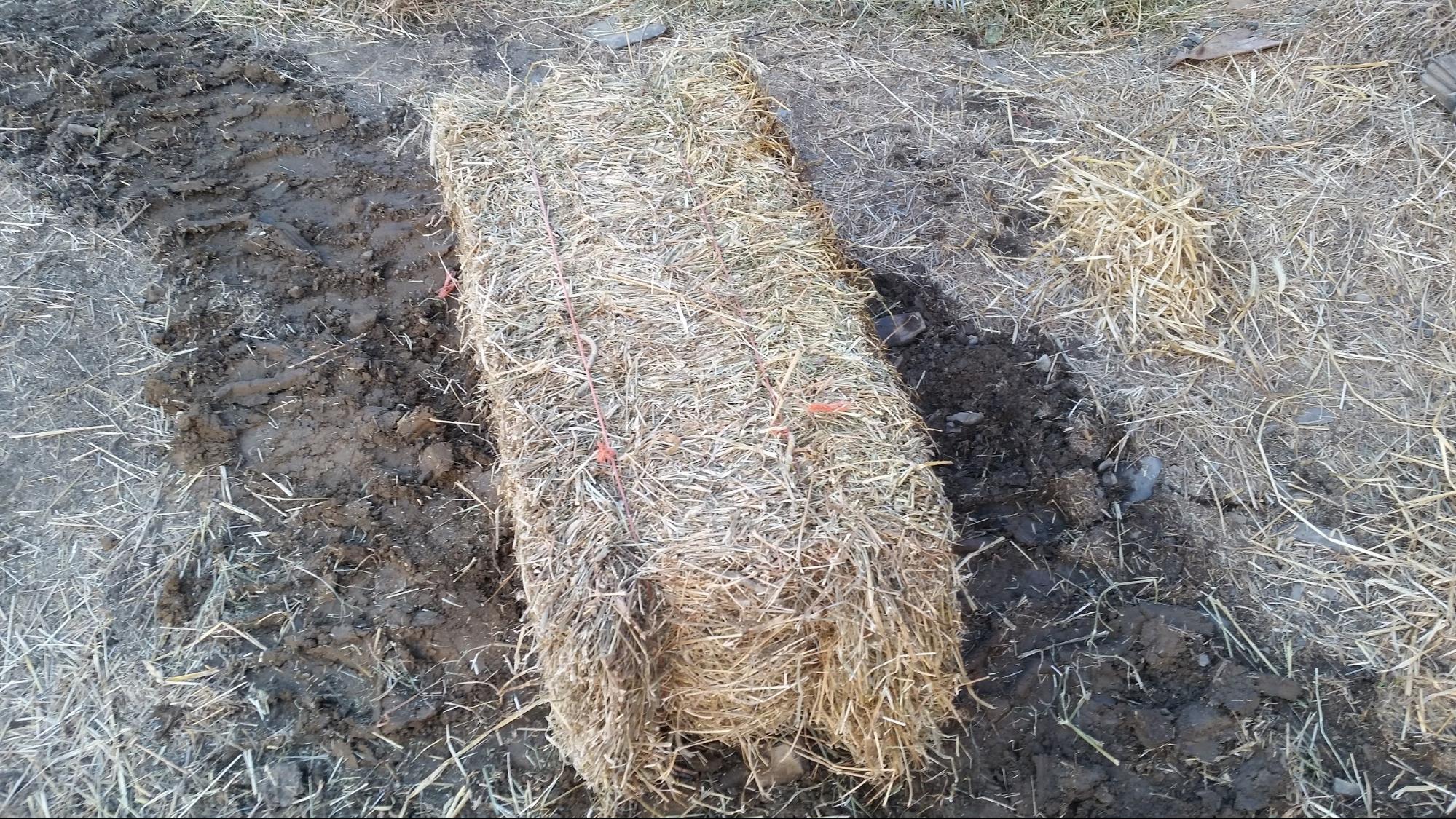 Mulch Hay in 2 String Bales Aden Brook