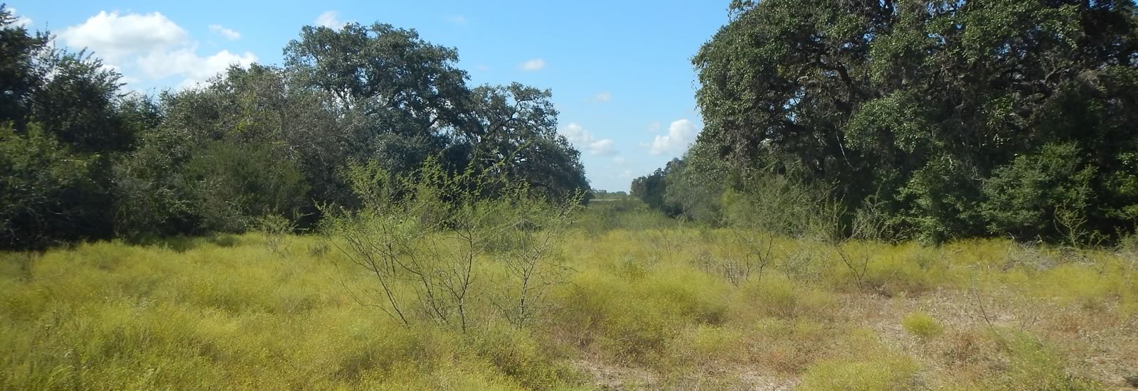 AD Environmental Consulting Services, LLC Victora Texas