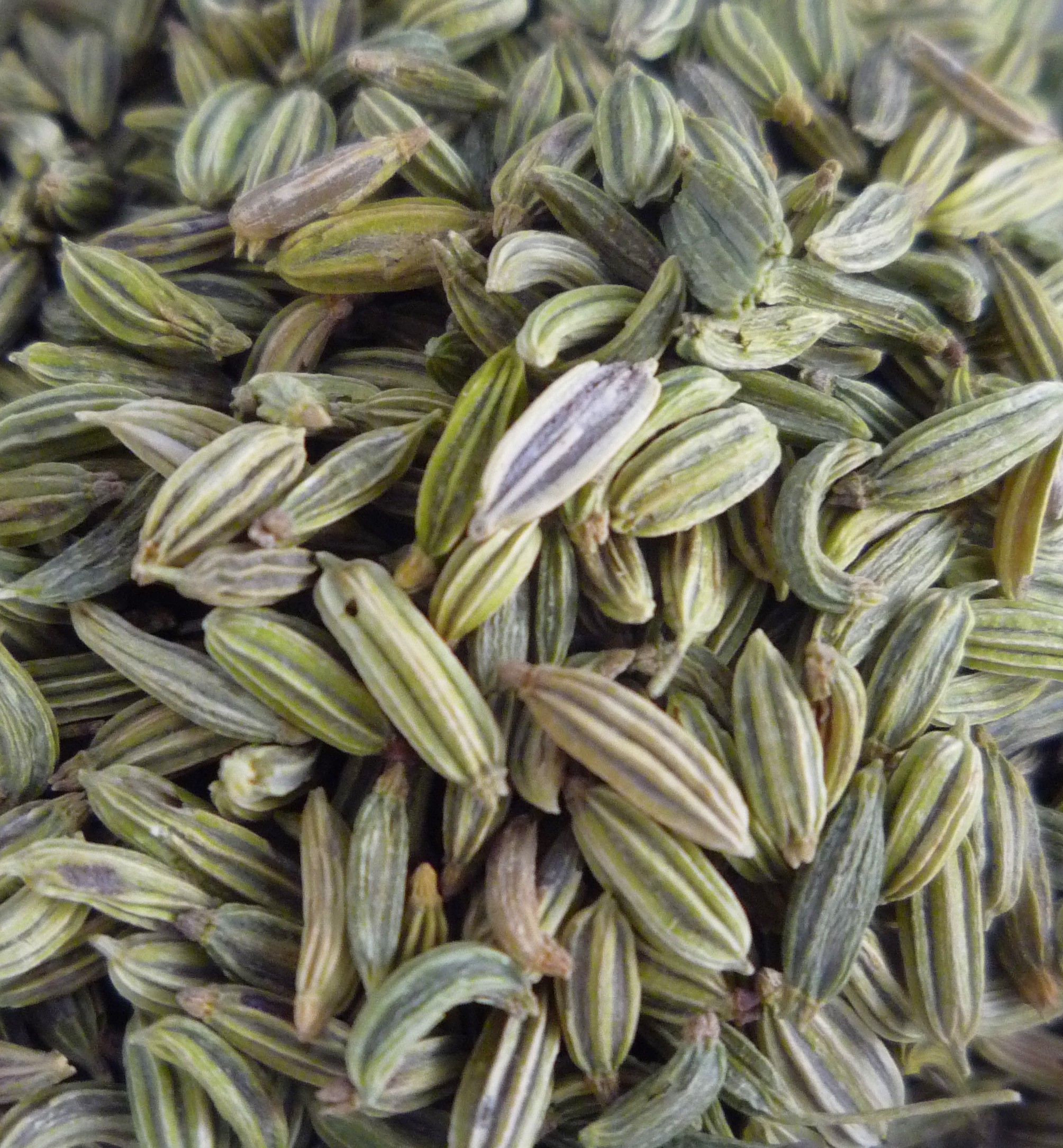 شومر ADETCO Arabian Developent Company For Trading