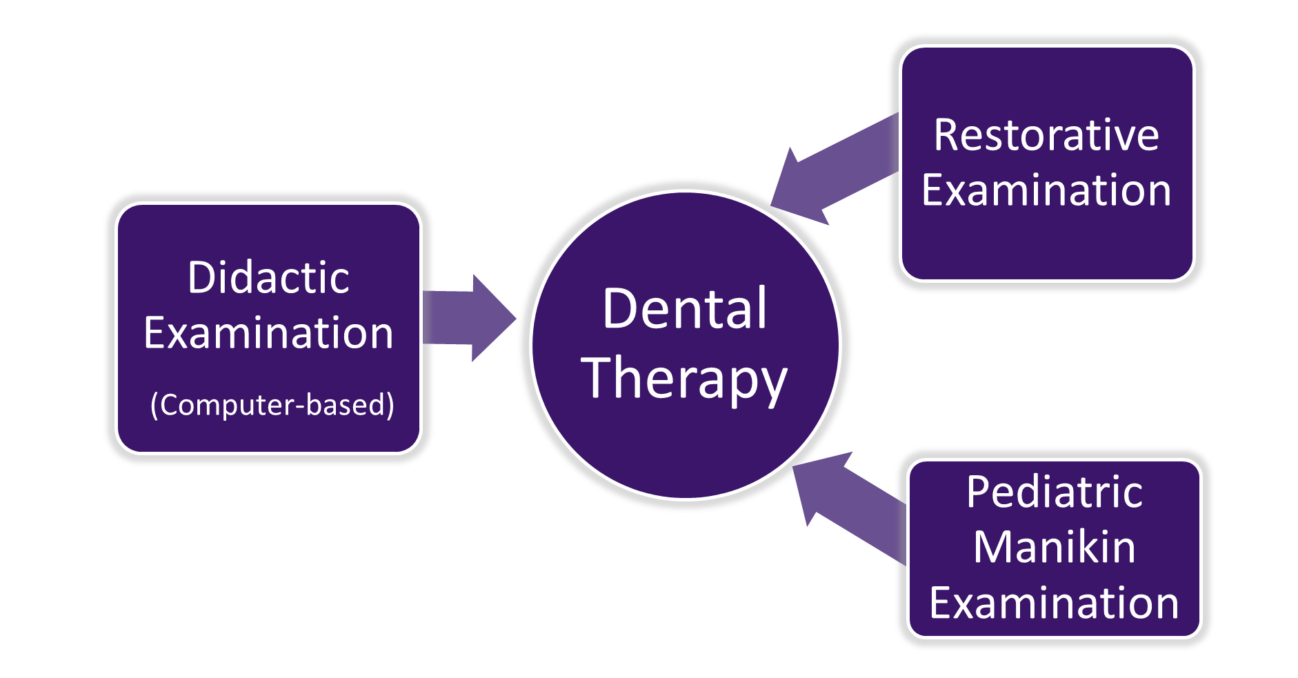 Dental Therapy Exams