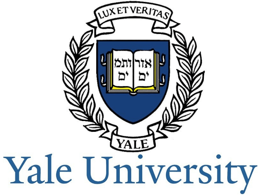 ADHD Psychologist Melbourne Noah Mankowitz