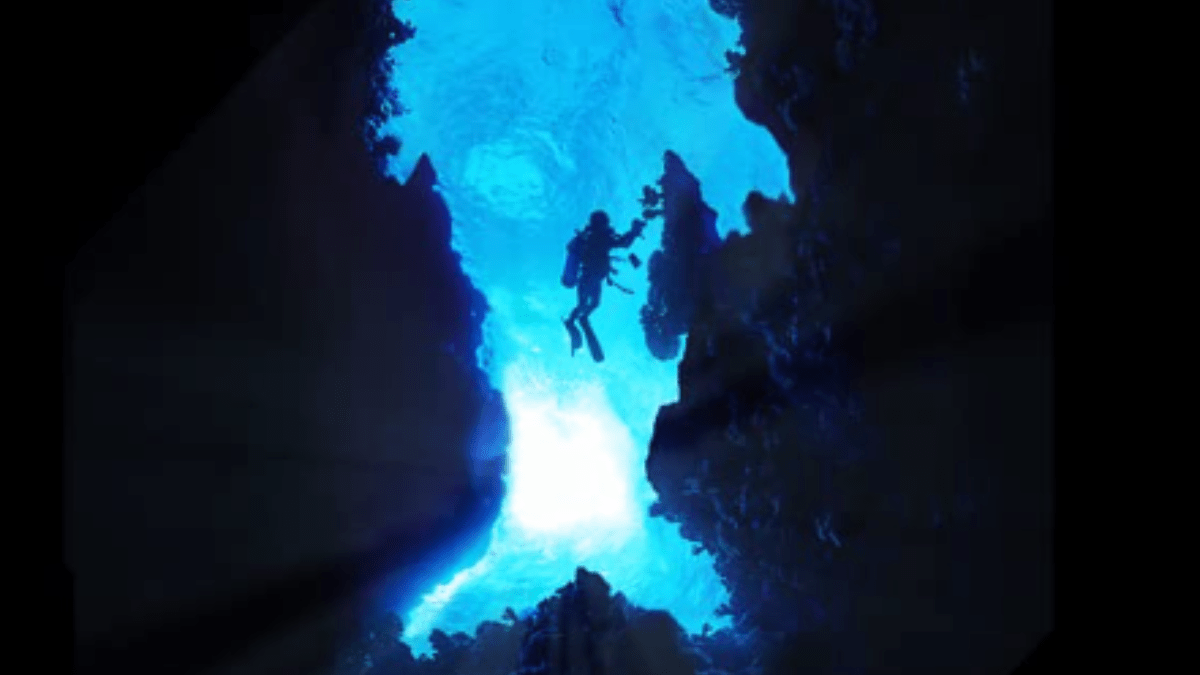 10 Addictive Underwater Shows on Netflix That Will Keep You Hooked A