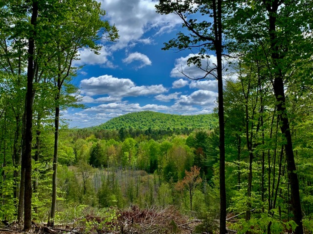 Just a Short Road Trip from Montreal is Malone, NY in the Adirondack Mtns