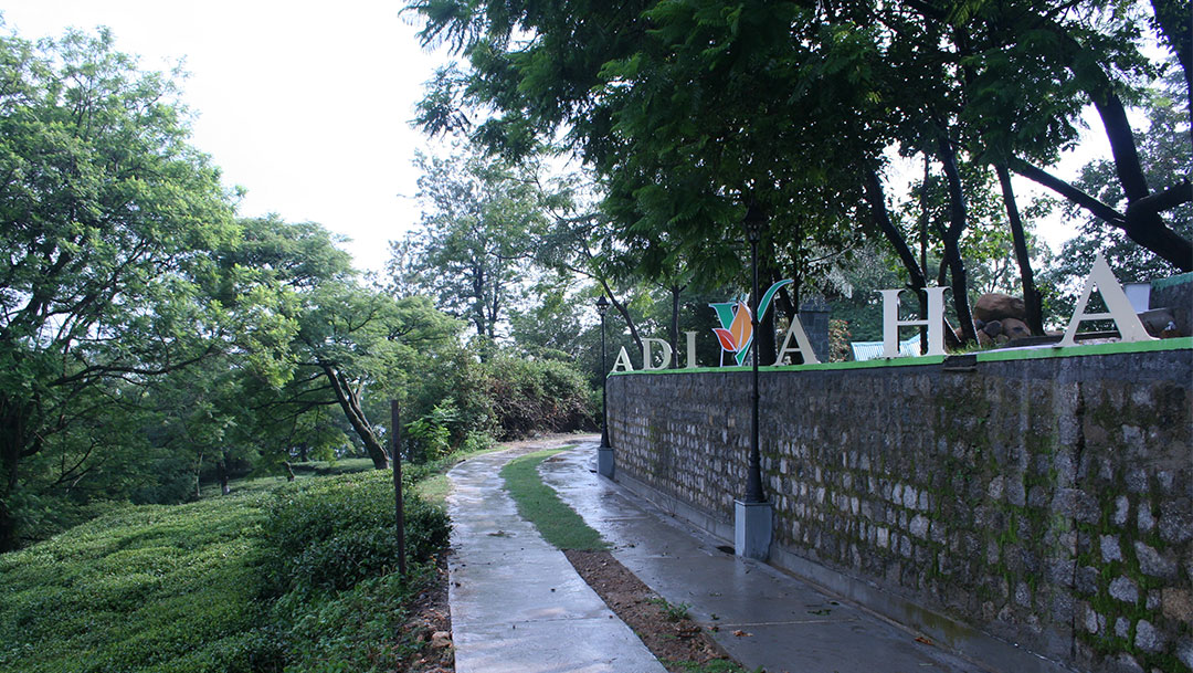 Adivaha White Haven, Dharamshala