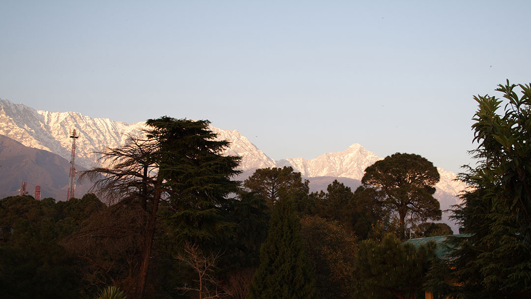 Adivaha White Haven, Dharamshala