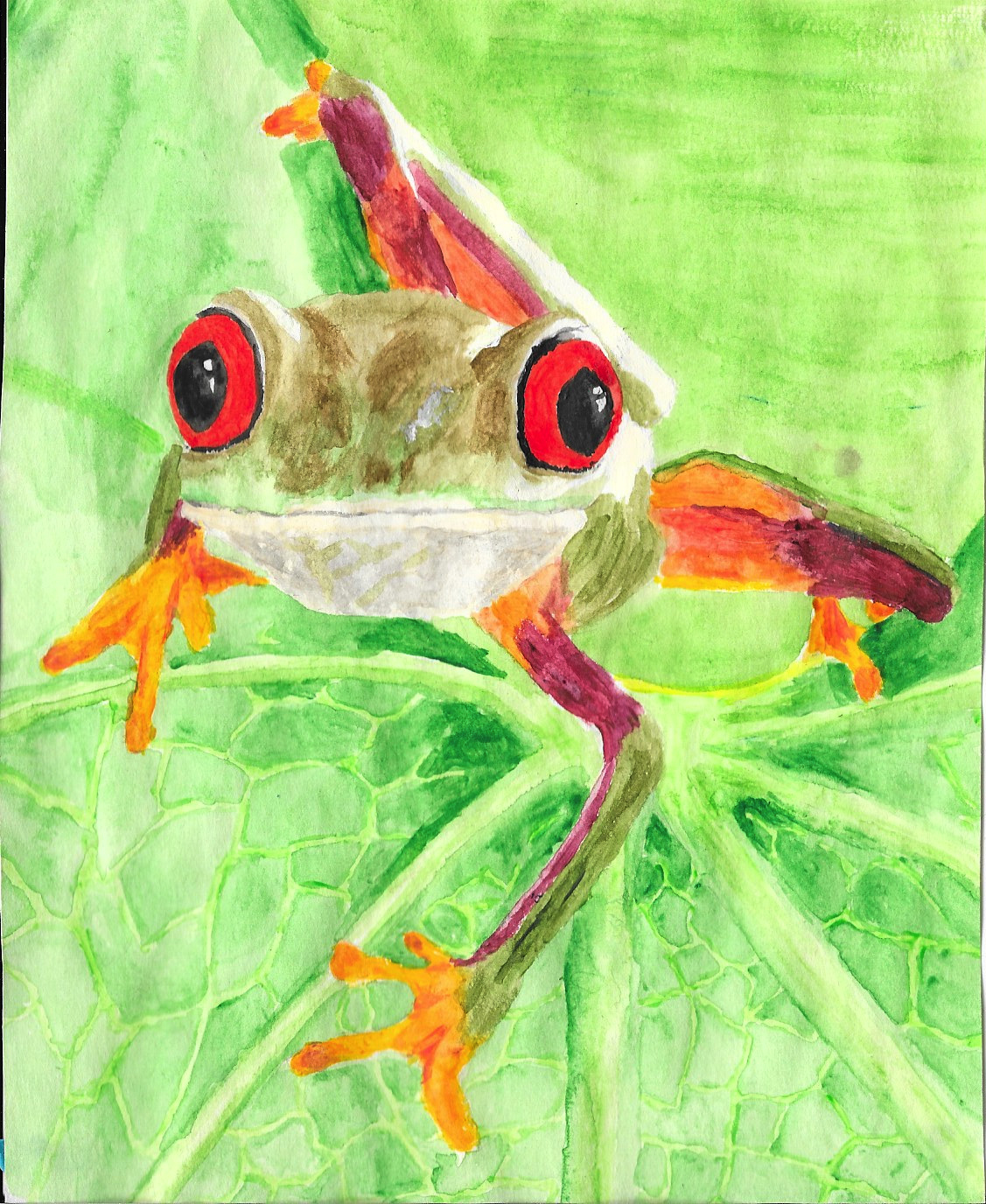 frogwatercolour Adlaya's Art