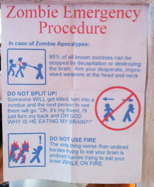 Zombie intelligence overview