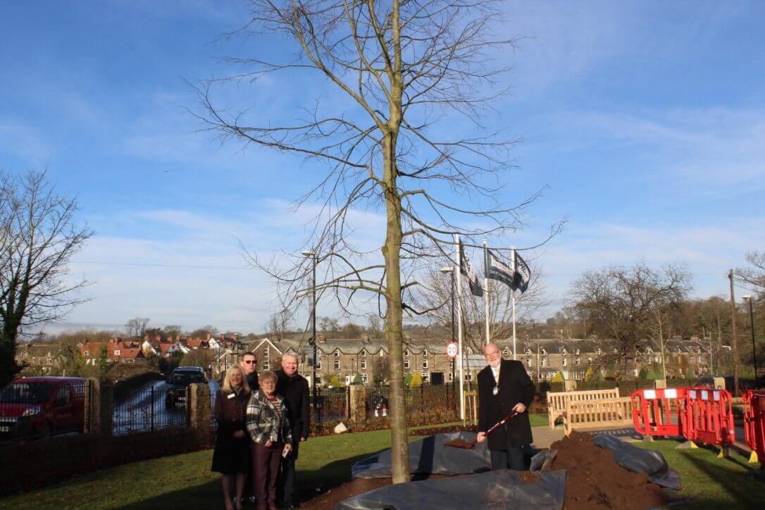 Muchloved tree replaced at Adlington House, Otley Adlington