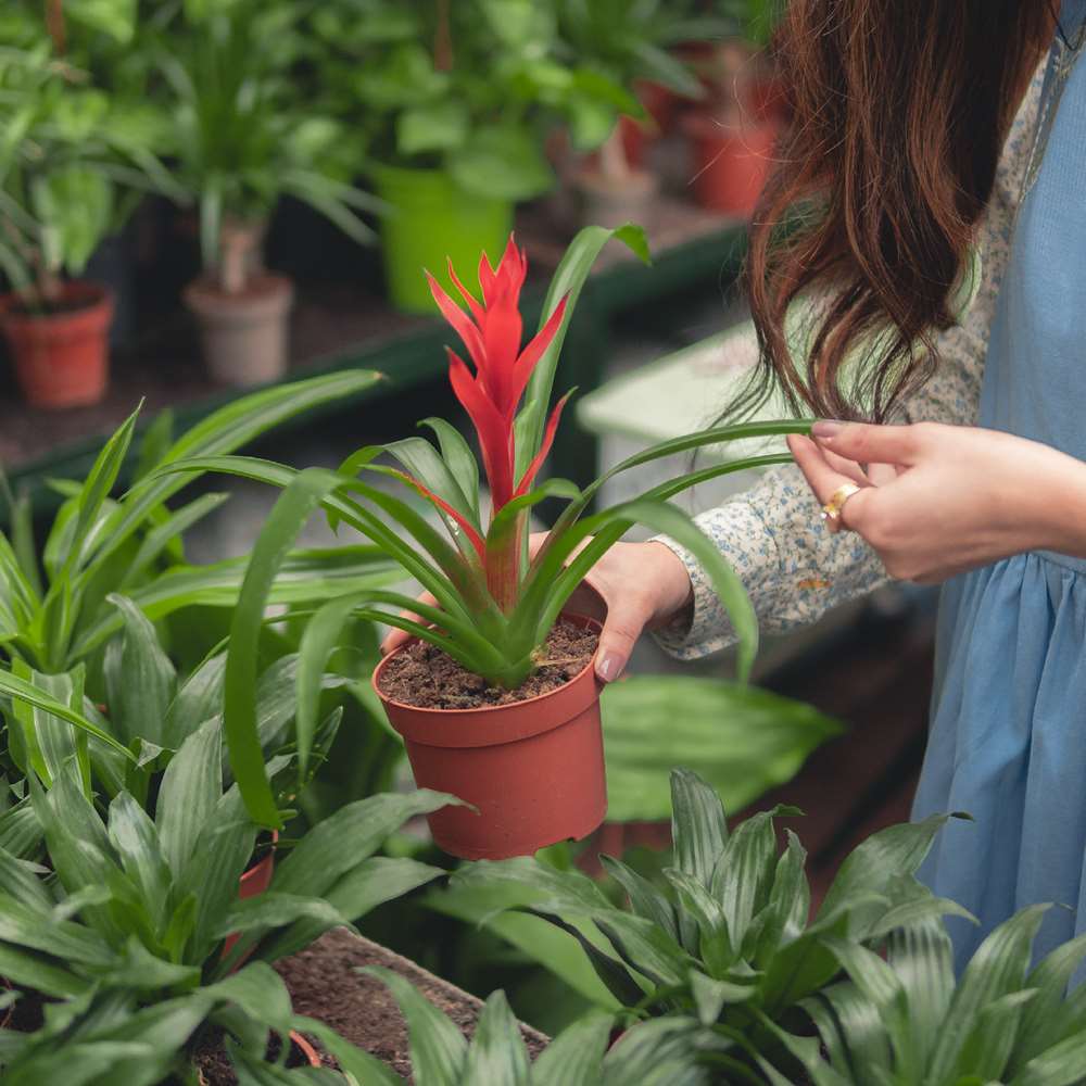 Horticultural Resource Management Online Courses