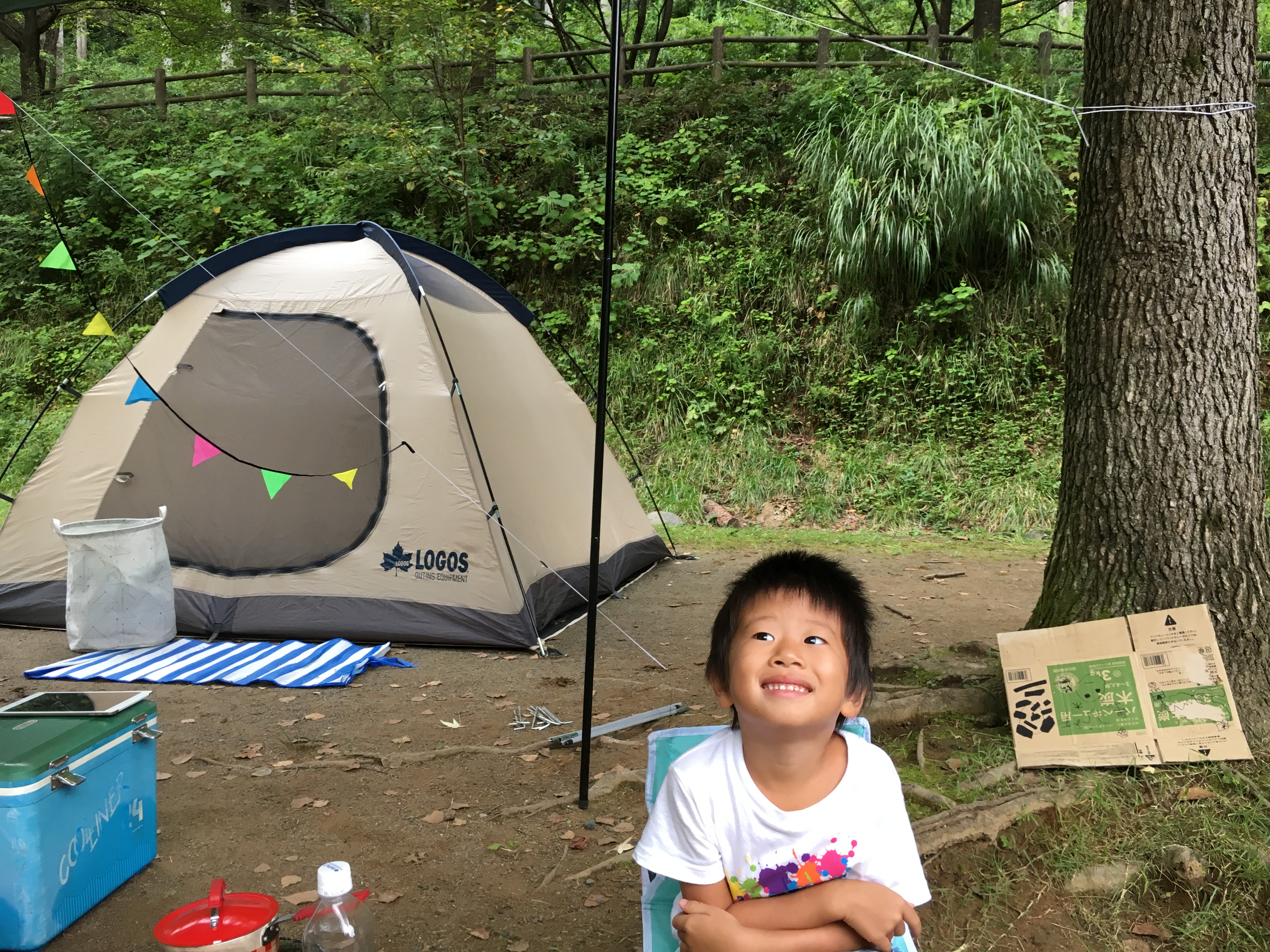 松田川ダムふれあい広場｜キャンプ場検索・予約サイト「なっぷ」