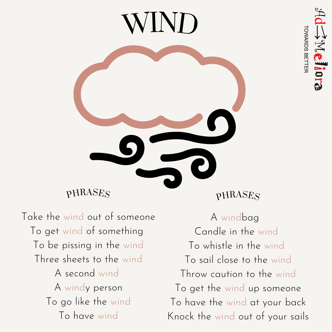 Wind! Ad Meliora Inglés, Online English Academy.