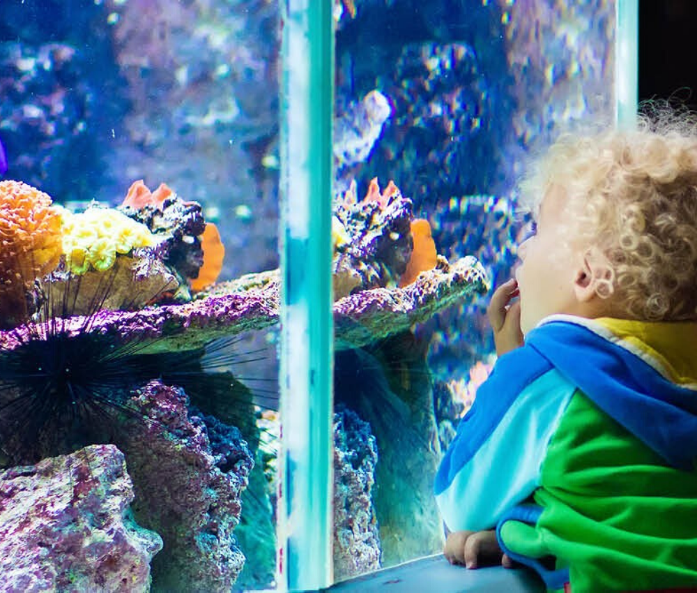 Acquario di Cattolica, La Riviera dei Parchi, Parchi