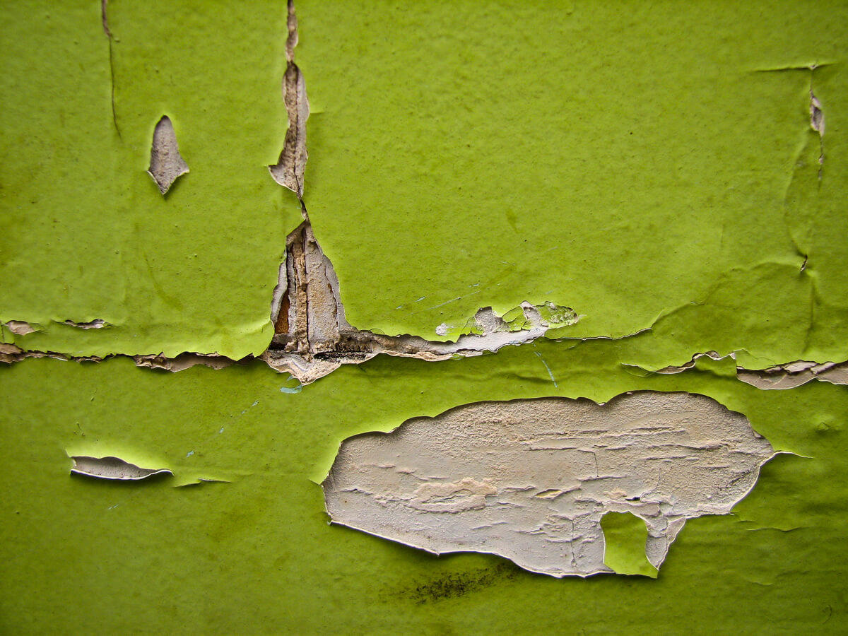 10 Things That Will Affect Your Property Value Steven Kessel, REALTOR®