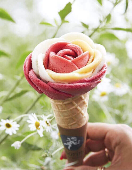 Amorino Exceptional Italian Gelato