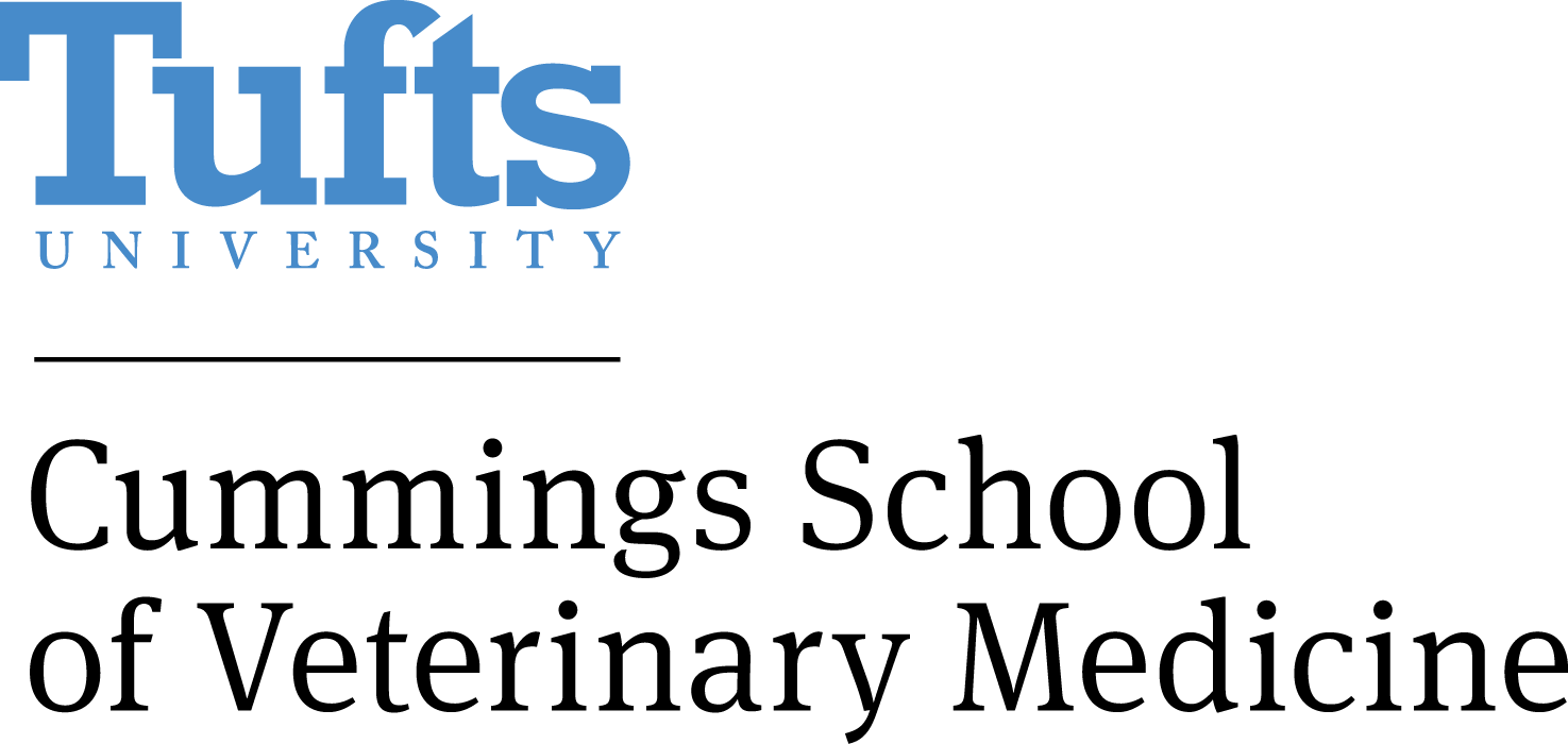 Tufts University VMSAR