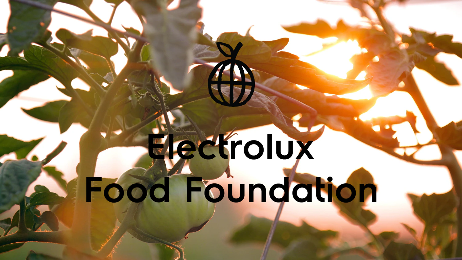 Fund the Food Foundation annually to total of 100 million SEK