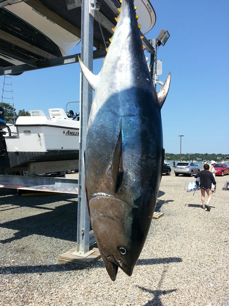 Ryder's Cove Boat Yard Gallery MARINA