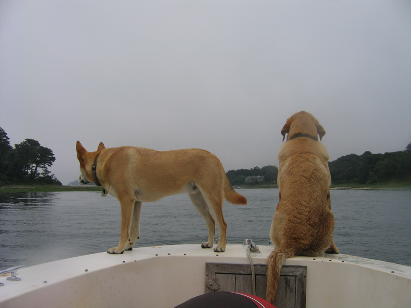 Ryder's Cove Boat Yard Gallery MARINA