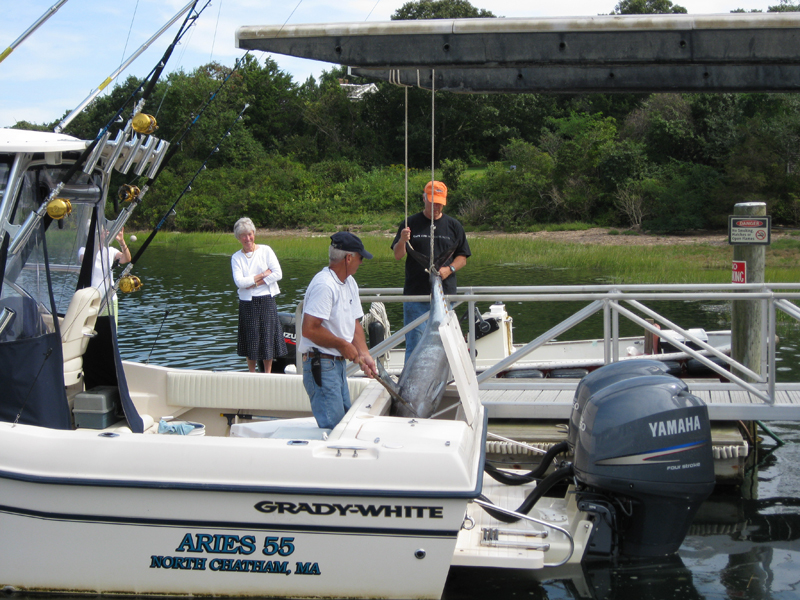 Ryder's Cove Boat Yard Gallery TUNA FISHING PHOTOS