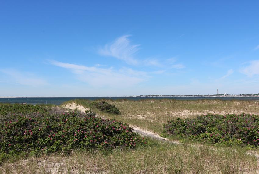 Truro Vacation Rentals Truro Real Estate and Truro Vacation Rentals