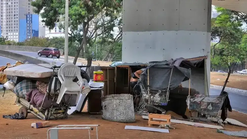 Belo Horizonte aprova lei que permite pets em abrigos para moradores de rua