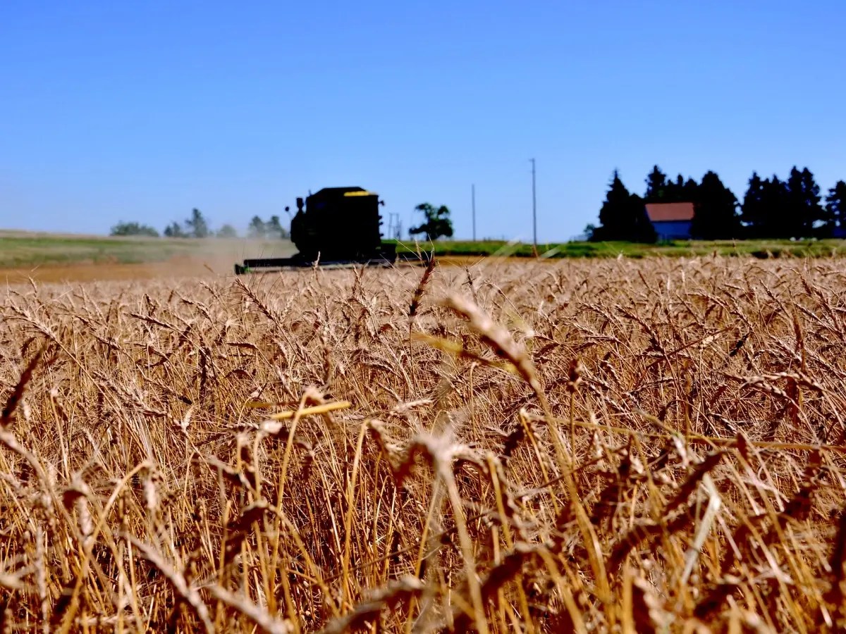Fort Ransom DMV Appointment