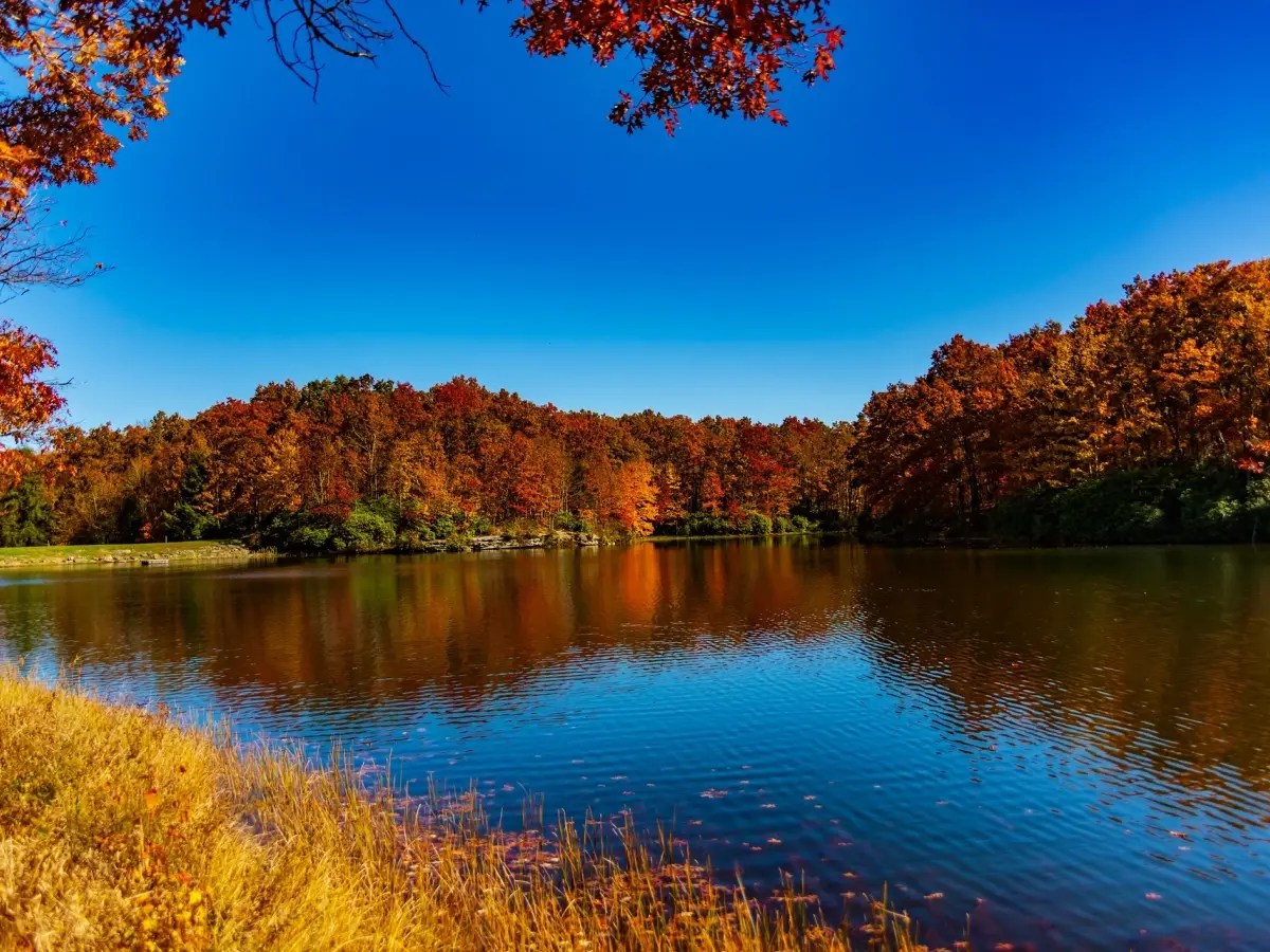 Monroe County DMV West Virginia Office Hours Schedule an Appointment