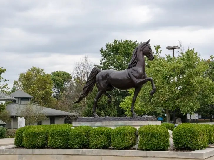 Greenup DMV Appointment