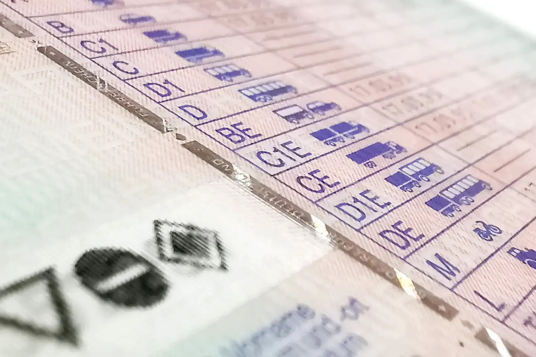 How to get your German driver's license tips and tricks Expatica