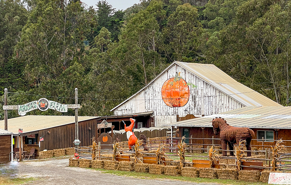 The Best Pumpkin Patches in California Golden State