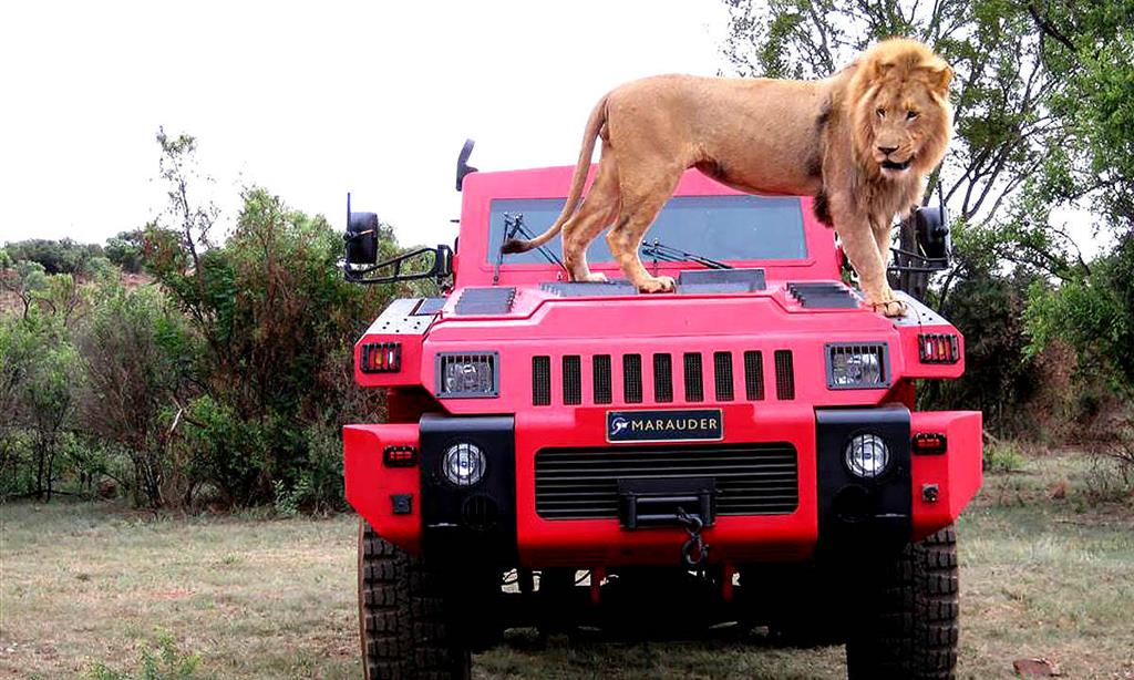 The world's toughest and indestructible cars