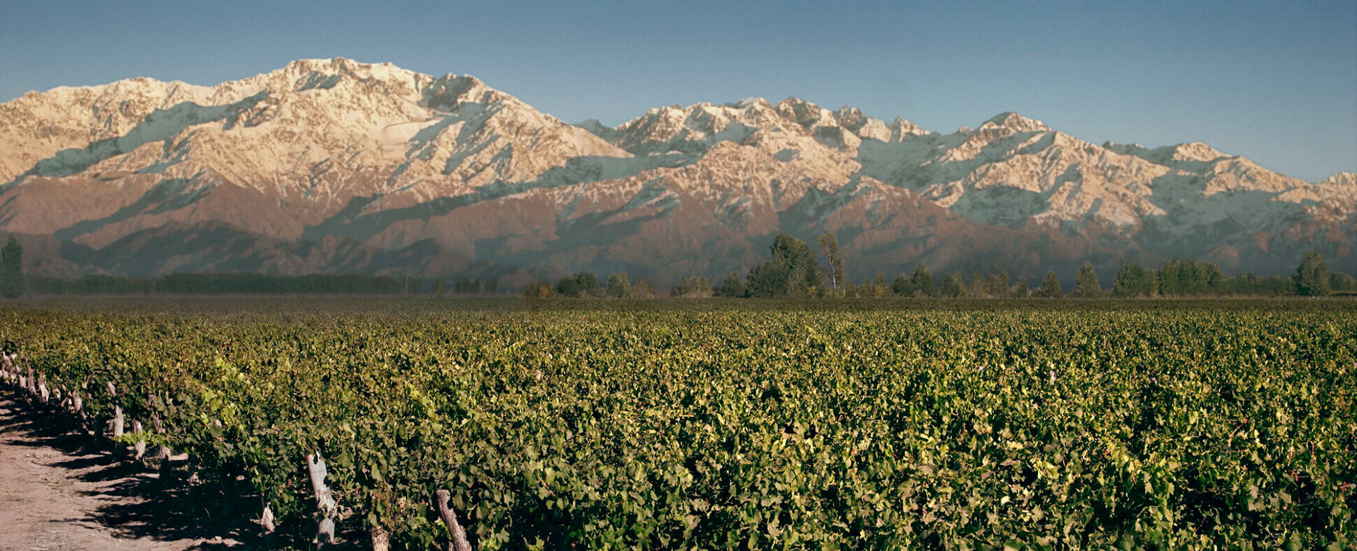 Casa de Campo Wine Portfolio