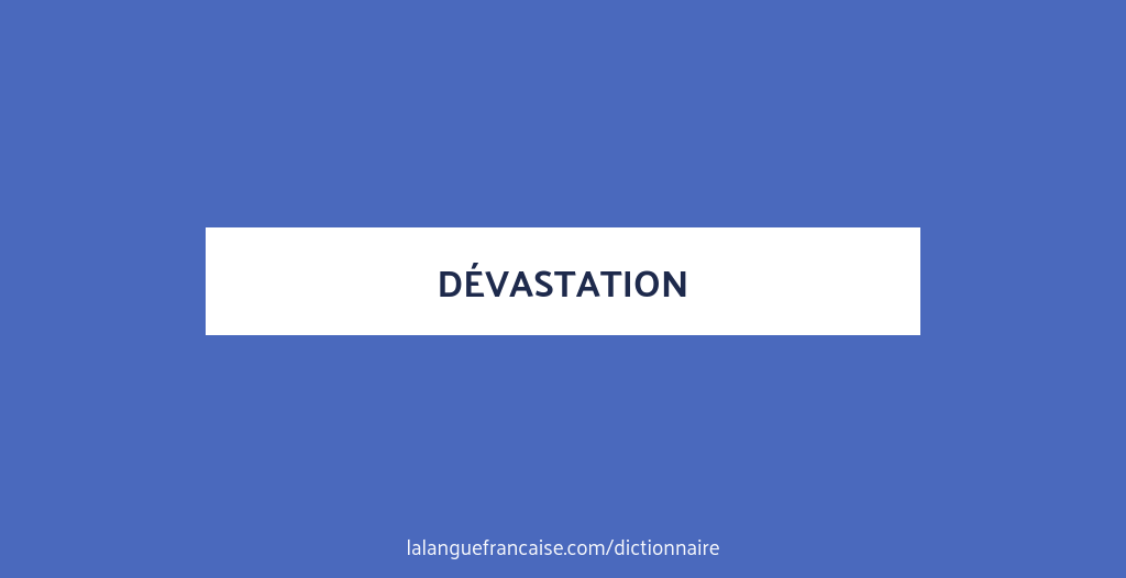 Définition de dévastation Dictionnaire français La