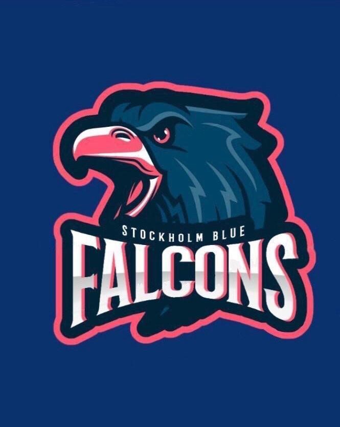 Blue Falcons Team Profile Play Cricket!