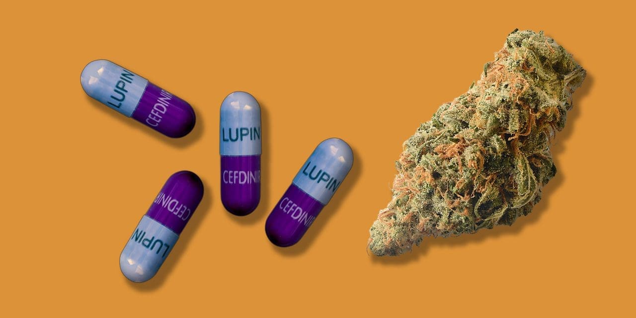 Can You Use Marijuana If You Take Cefdinir?