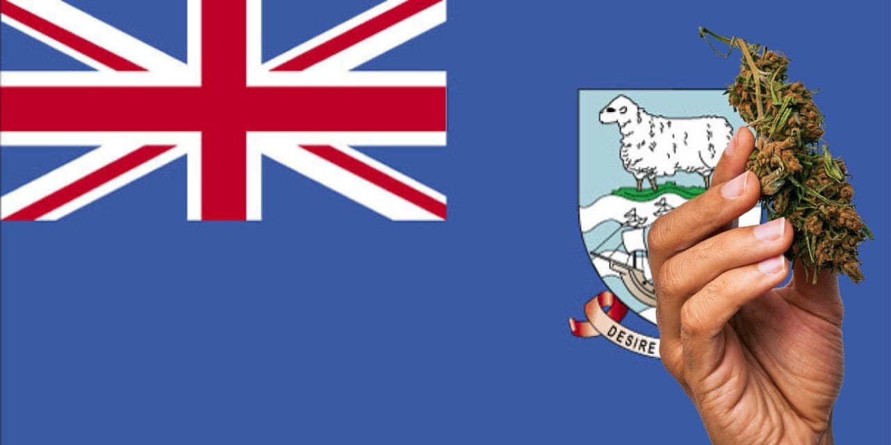 Is Marijuana Legal in the Falkland Islands?