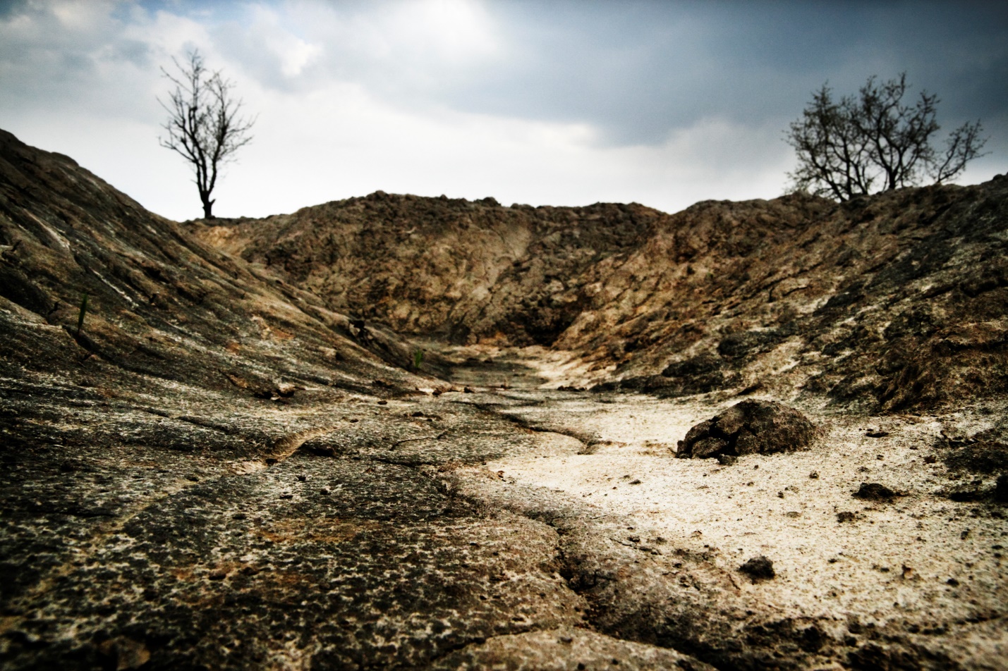 Soil Pollution Assessment and Sustainable Remediation Strategies