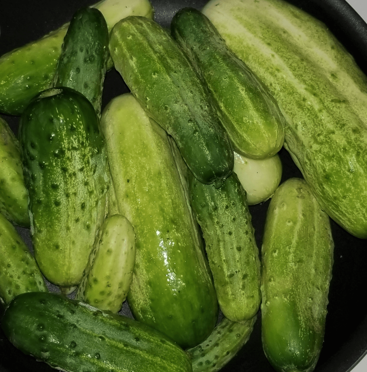 Snack Sized Cucumbers 5 Per Order Market Wagon Online Farmers