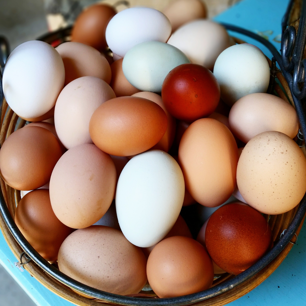 Eggs1 Dozen Chicken Market Wagon Online Farmers Markets & Local